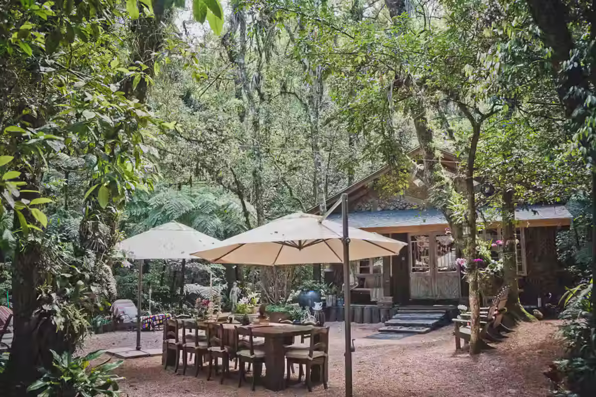 RS267 - Novo Hamburgo