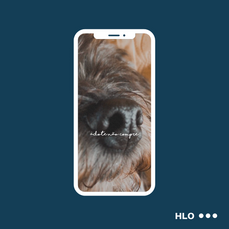 Filtro para @openbarcanino
