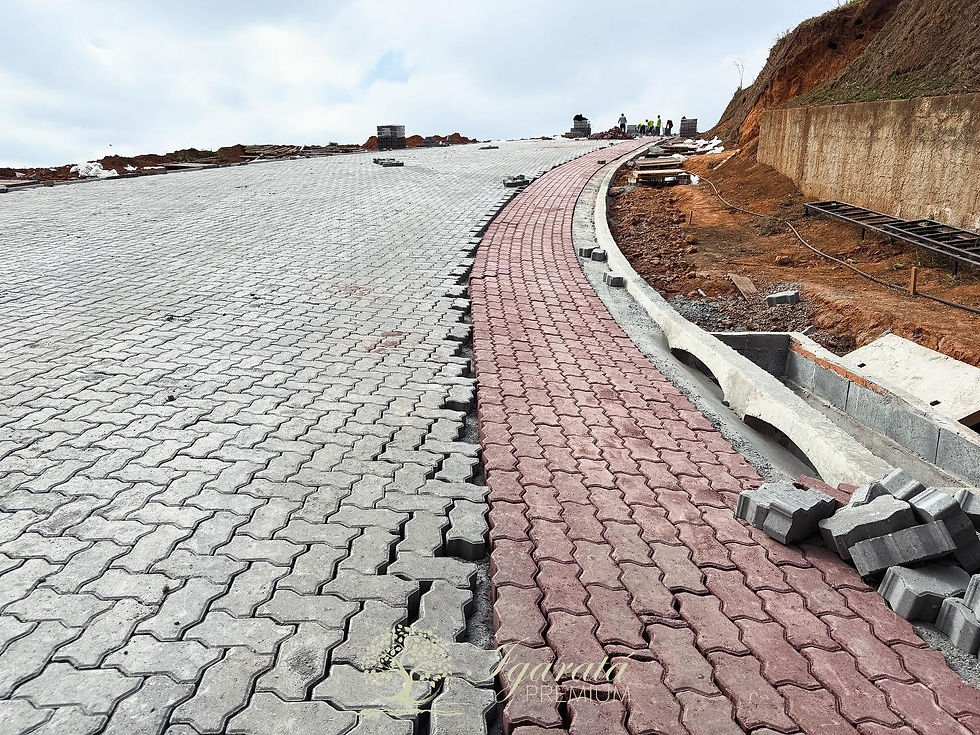 WhatsApp Image 2025-07-20 at 20.17.15 (1).jpeg