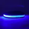 Blue Small - USB-rechargeable LED Collar