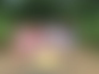 माँ जी की पुण्यतिथि पर श्रद्धांजलि