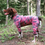 サムネイル： Full Order Ranger  Large_Girl