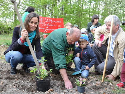 Eintritt frei für Honigbienen und ihre wilden Schwestern