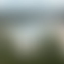 Unveiling Life's Origins: Insights from Montana Researchers on Hot Spring Geochemistry and Microbial Diversity