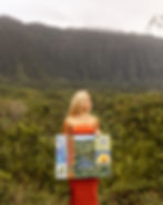 337CA3F6-4547-4204-A151-AA8A0F9E8328