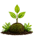Garden / Central Facility Reuse