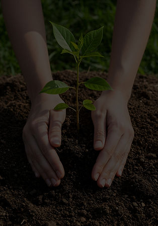 planting-seedling-nurturing-growth_edited.jpg
