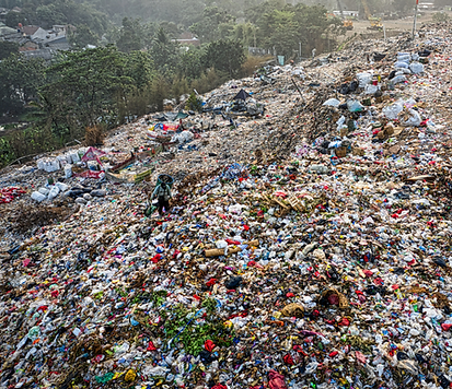 waste1