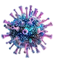 icon1