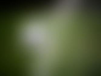 Prefeitura inova na realização do tradicional Peladão