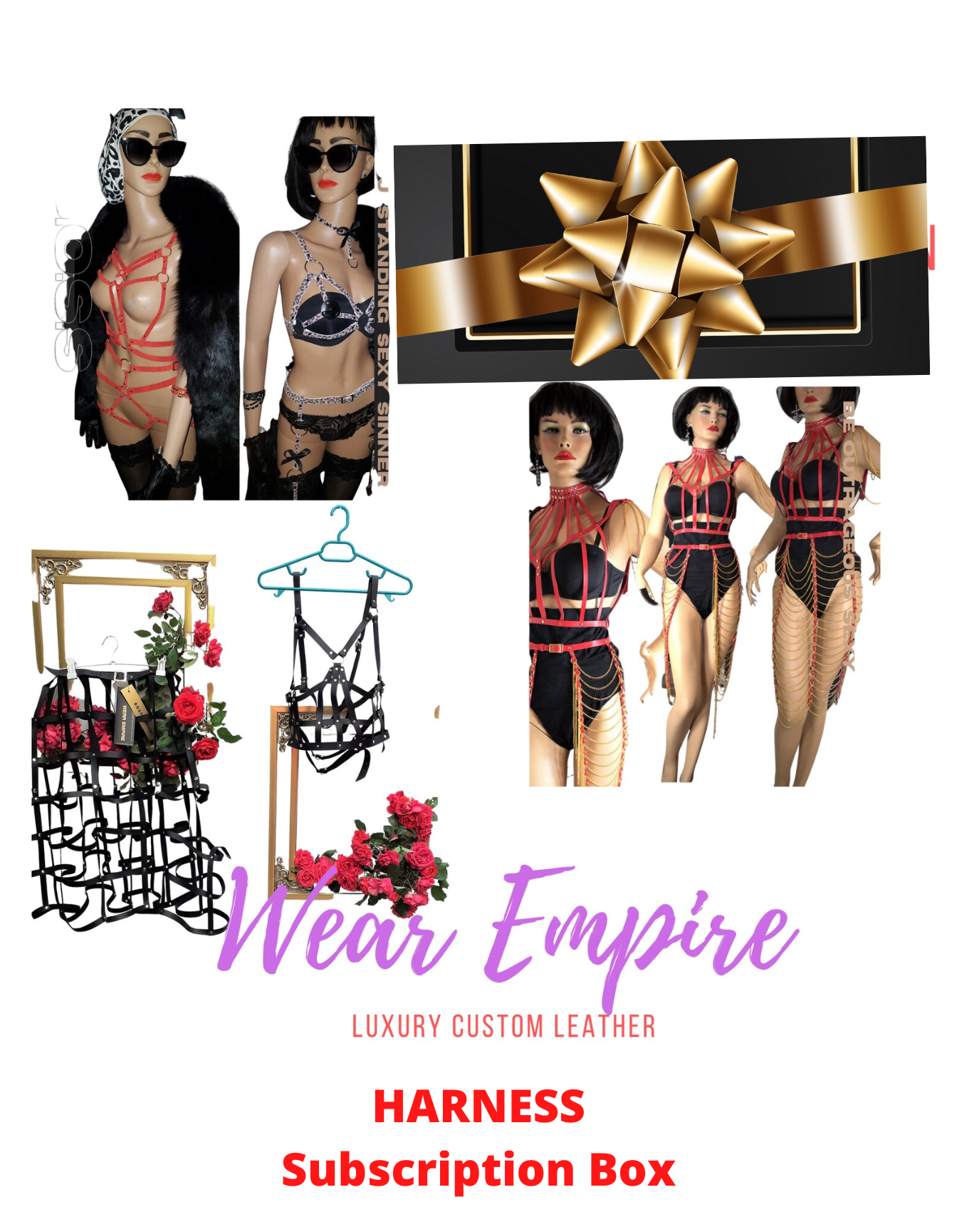 WE143,Harness Subscription box