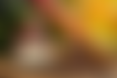 Café - Verde Horizonte Fertilizantes