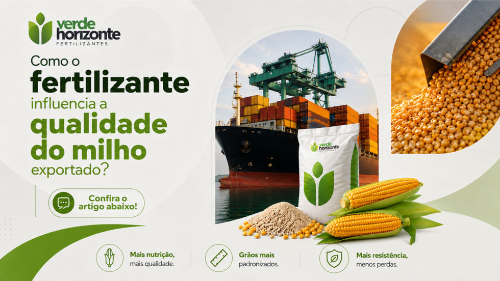 Como o Fertilizante Influencia a qualidade do Milho Exportado?