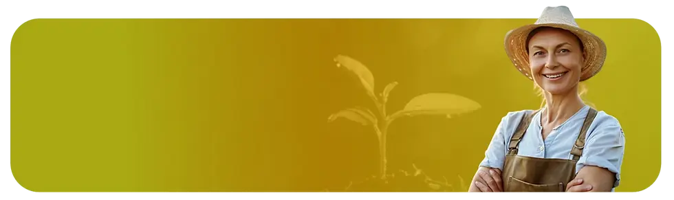 Notícias e Informações.webp