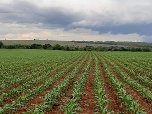 Fazenda Mogiana