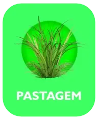 pastagem.webp