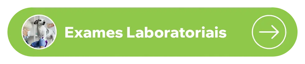 Exames Laboratoriais 2.webp