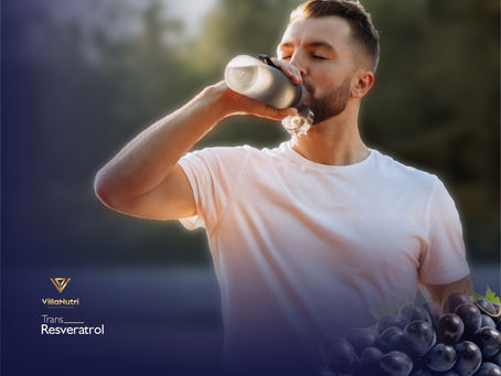 Trans - Resveratrol