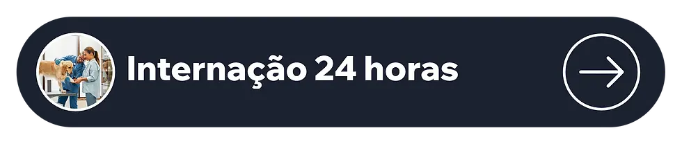 Internação 24h.webp