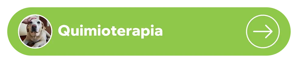 Quimioterapia.webp