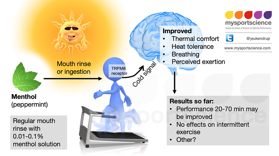 Effect of menthol on thermal comfort and performance