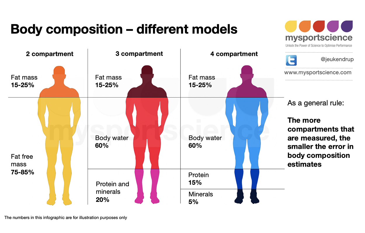 imuscle body composition imuscle body composition