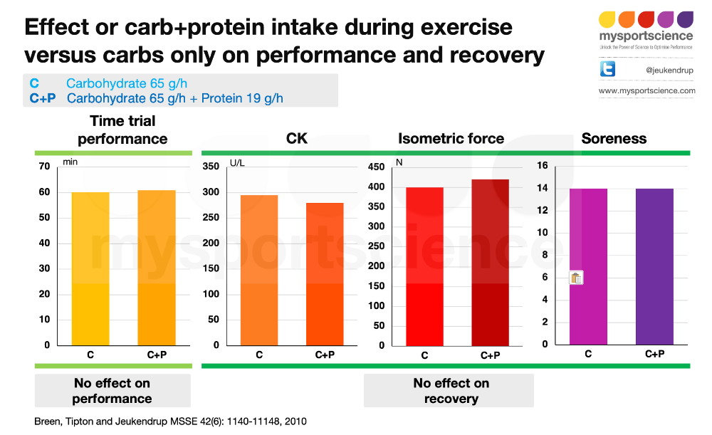 Protein has no effect on performance or recovery when ingested during endurance exercise