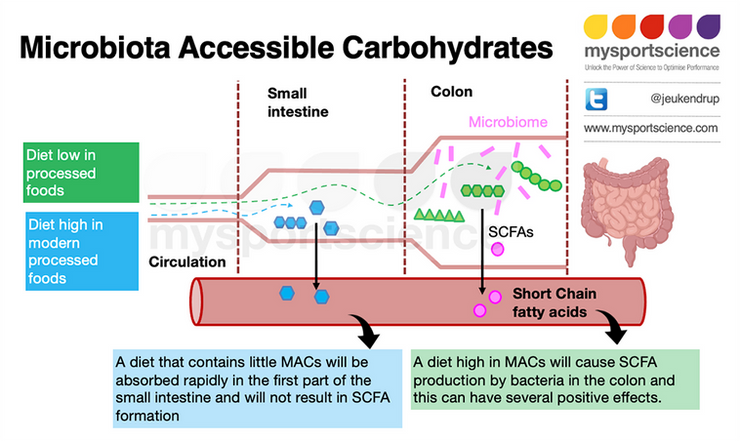 A diet low in microbiota accessible carbohydrates may not get the benefits from SCFA production