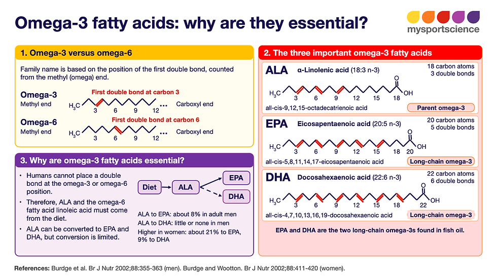 An explanation of what omega-3fatty acids are and where their name comes from
