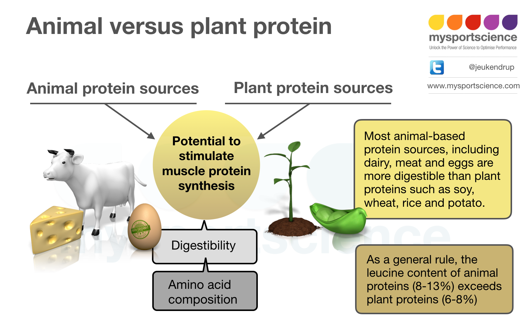 What is the best protein source for building muscle?