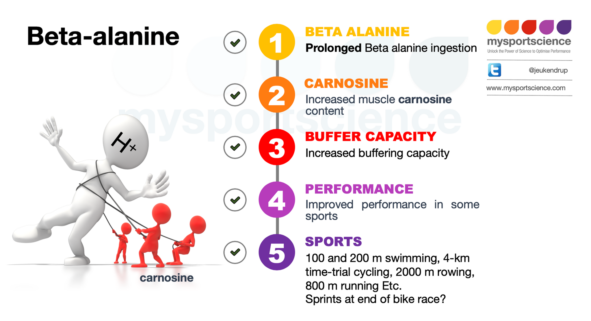 beta alanine supplementation beta alanine supplementation