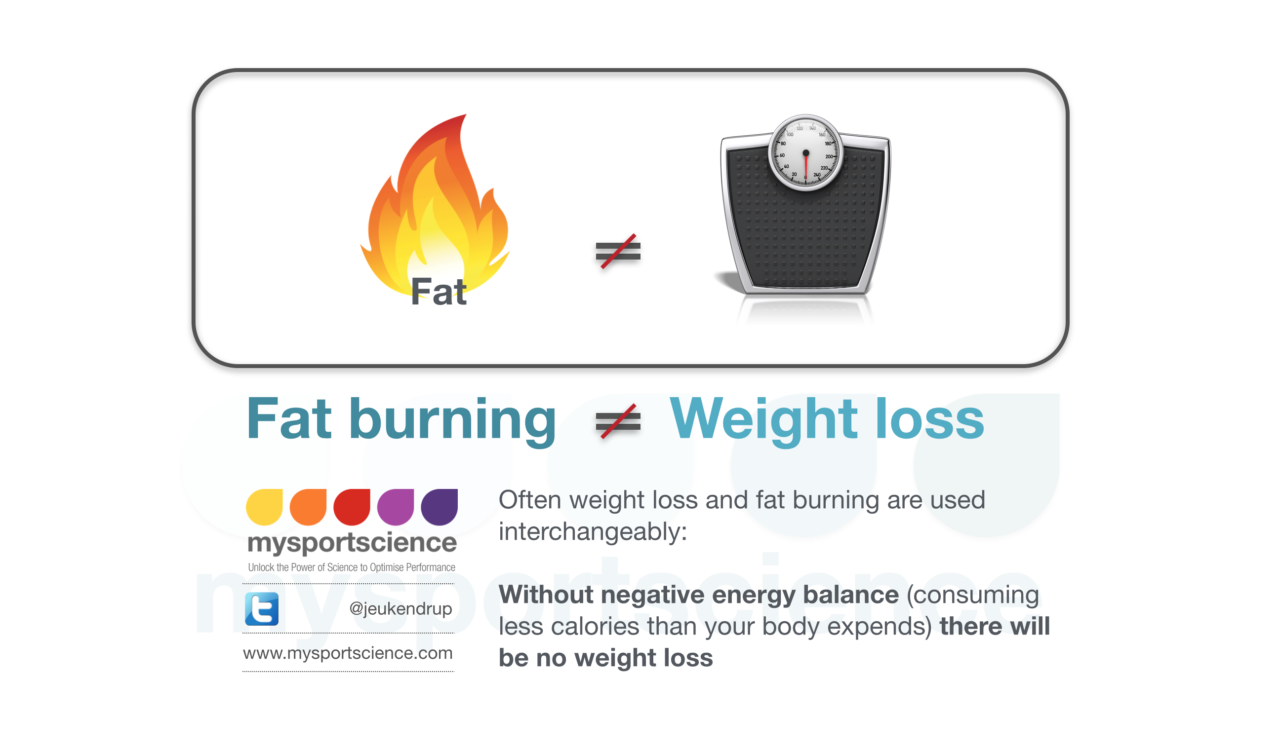 Fat burning diet and exercise
