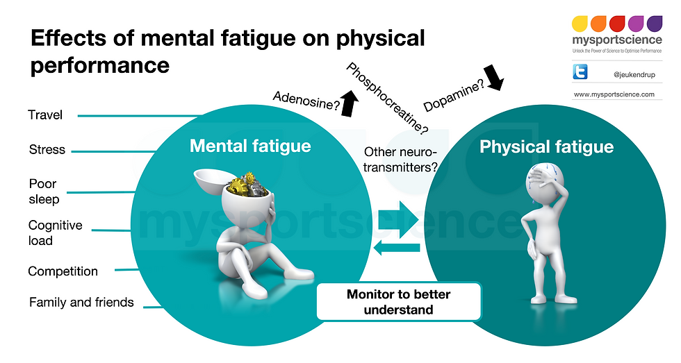 Mental fatigue and physical performance