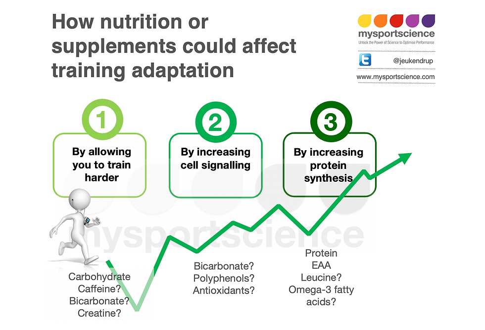 Same training - greater effect: about supplements and training adaptation