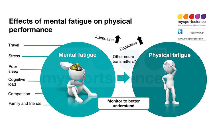 Mental fatigue and physical performance