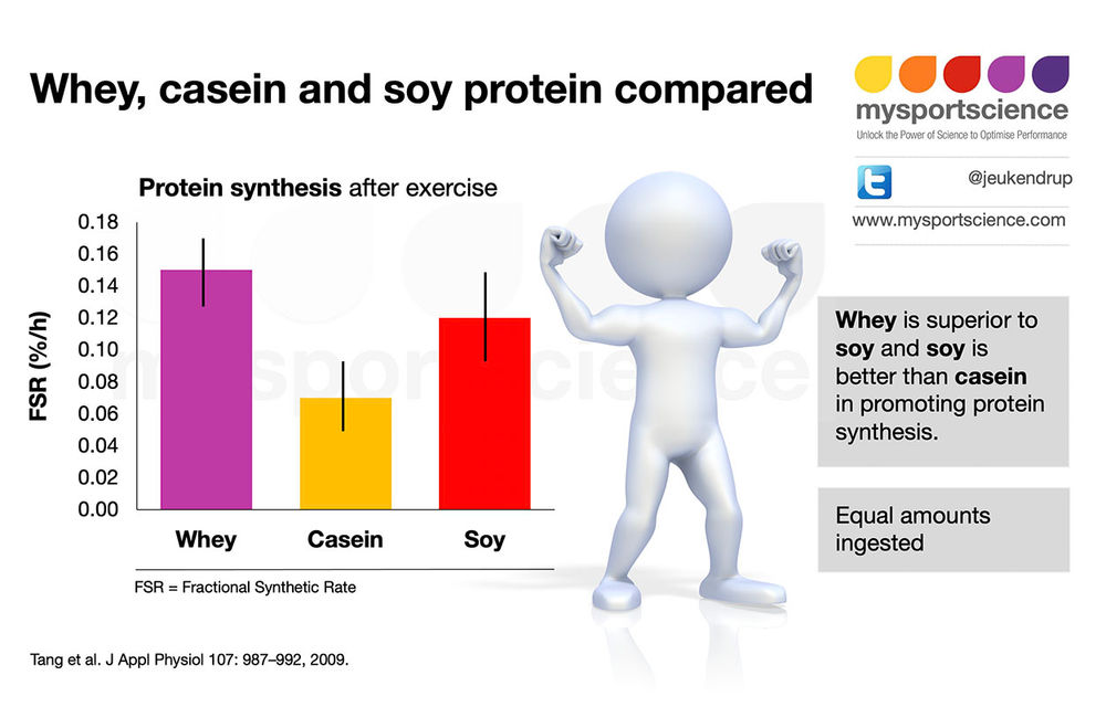 What is whey protein?