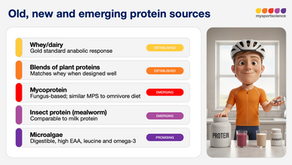 Protein sources for athletes: animal, plant and alternative proteins 