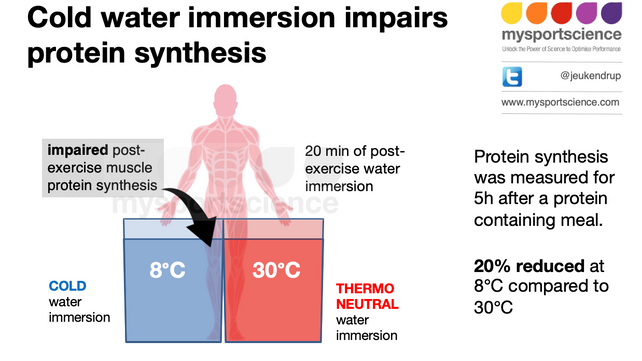 An ice bath for muscle growth?