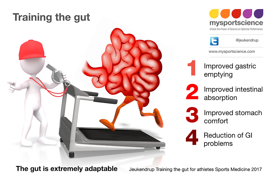 Training the gut for athletes