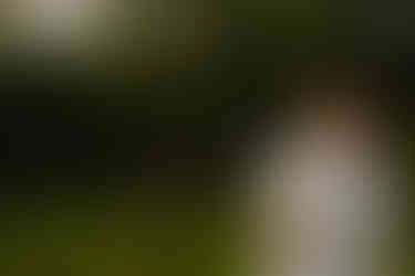 gay grooms hugging in front of Maine landscape at Autumn Lane Estate