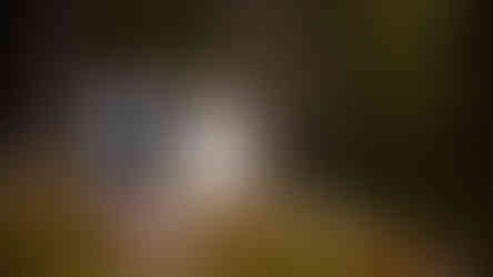 Maine Wedding Videographer and Photographer