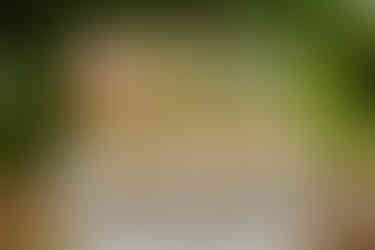 wedding ceremony refreshments at Autumn Lane Estate in Sebago, Maine