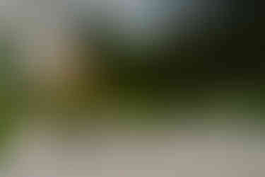 memory table at wedding in Maine