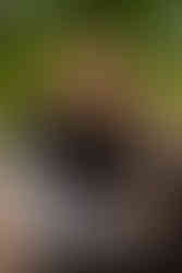 groom dancing with his father at wedding reception at Autumn Lane Estate in Maine