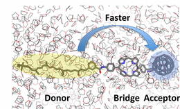 Fig3.gif