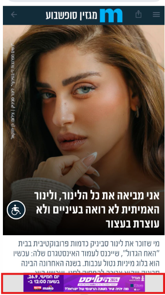 סטריפ.png