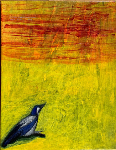Ricardo Fuentealba-Fabio, Blue Jay de California