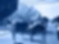March Blue.webp