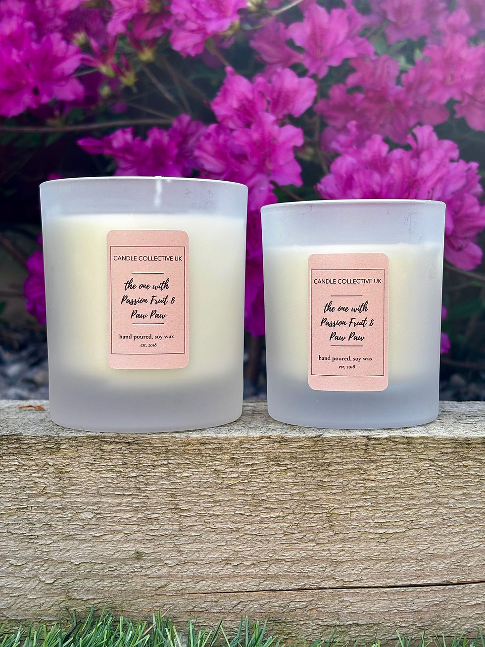 Thumbnail: two sizes of Passion fruit and paw paw candles