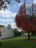 IMG_6046_Original.jpg